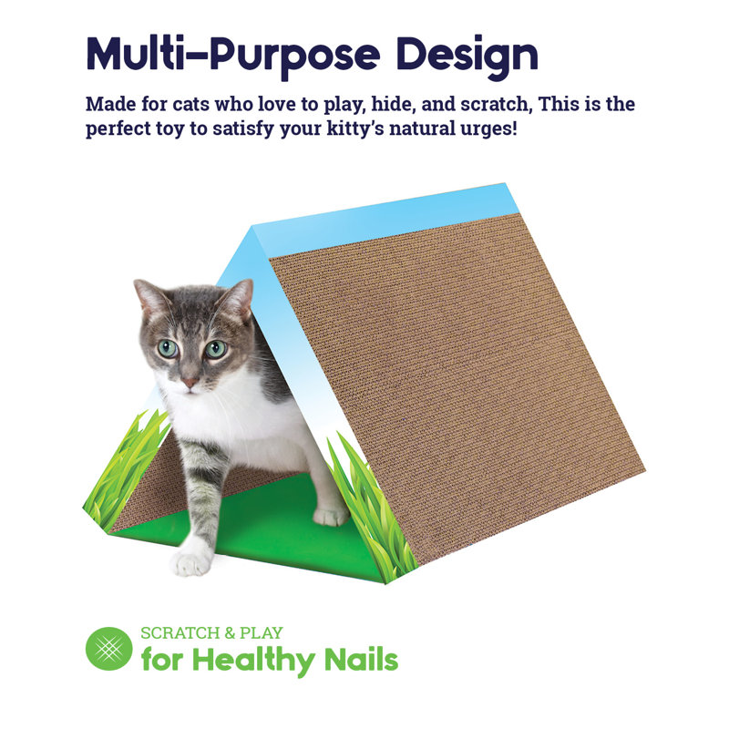 Cat scratch tunnel top